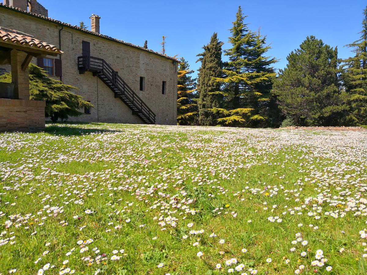 مبيت وإفطار Convento Di San Francesco Mondaino المظهر الخارجي الصورة